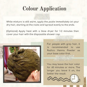 RADICO Organic Hair Color - Burgundy (100g)
